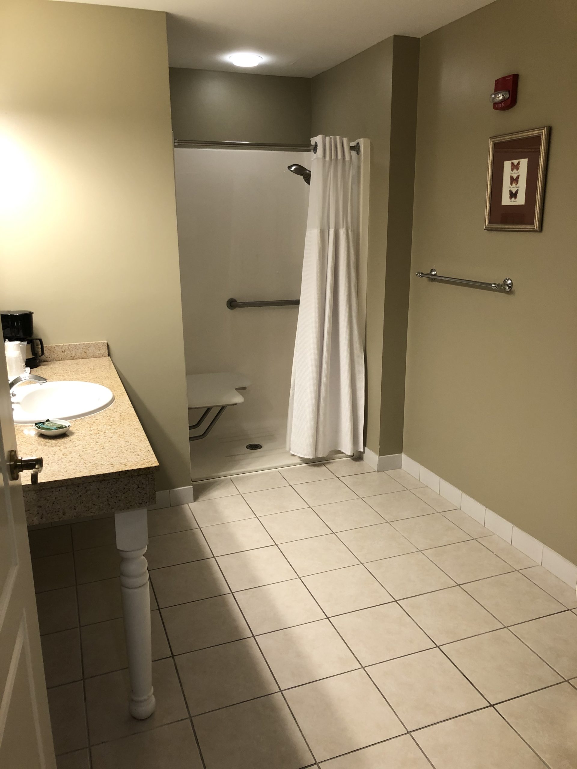 Photo of Roll-in shower for Deluxe Accessible Queen Room